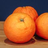 Orangen