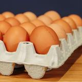 Eier 6 Stk Bioland