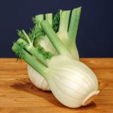 Fenchel