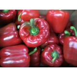 Paprika rot