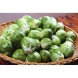 Rosenkohl