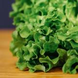 Salat
