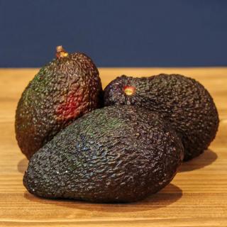 Avocado