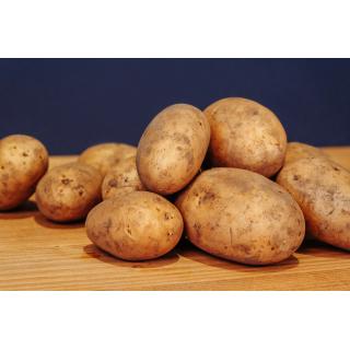 Hansmanns Kartoffeln Bellinda lose