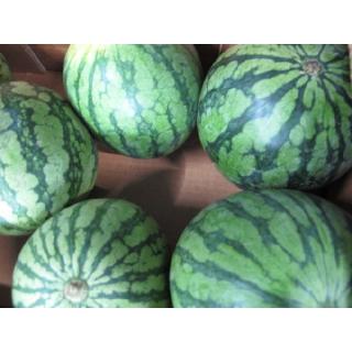 Wassermelone