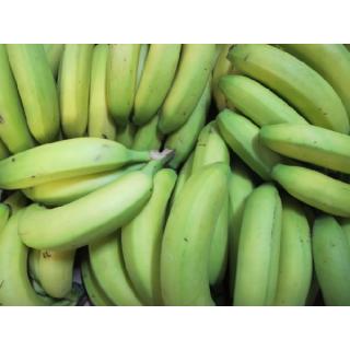 Bananen in der 18 kg Kiste