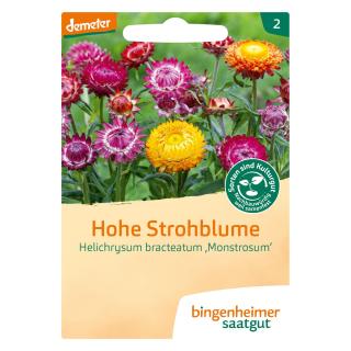 Hohe Strohblume Saat