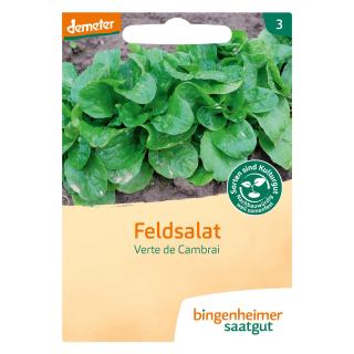 Feldsalat Verte de Cambrai Saat