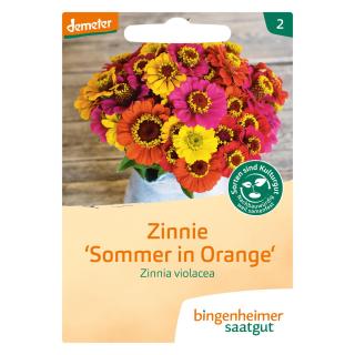 Blumen einjährig Saat