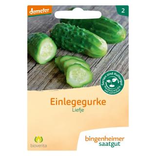 Einlegegurke Liefje Saat