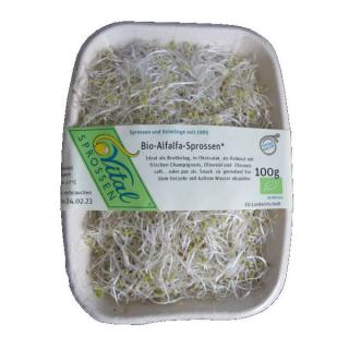 Alfalfasprossen