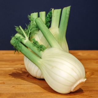 Fenchel