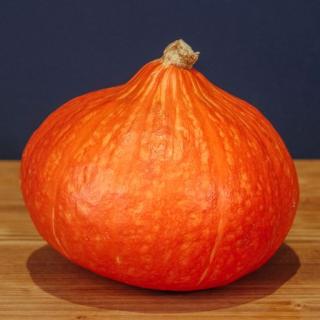 Hokkaidokürbis