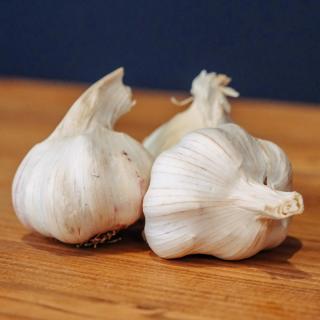 Knoblauch