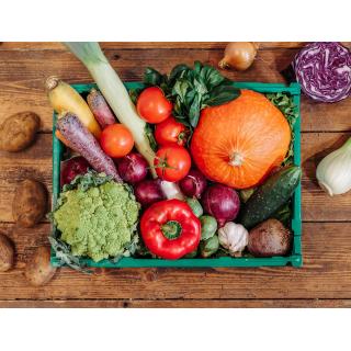 Gemüsekiste M