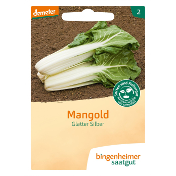 Mangold Glatter Silber Saat