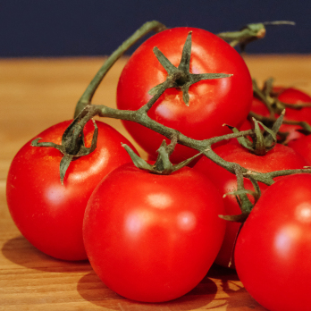 Strauchtomate
