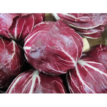 Salat, Radicchio