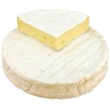Bio Brie Blanc 50%F