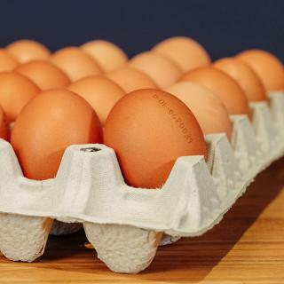Eier 6 Stk Bioland