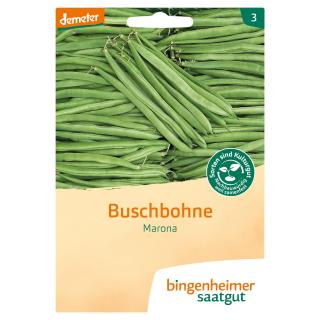 Buschbohne Marona Saat
