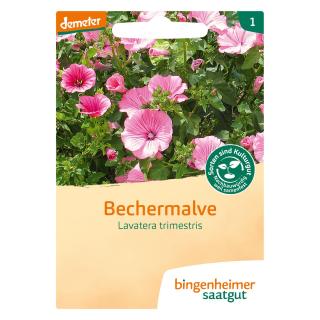 Bechermalve Saat