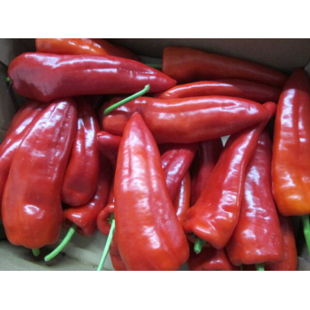 Paprika, spitz