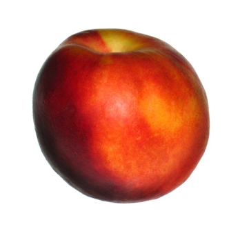 Nektarine
