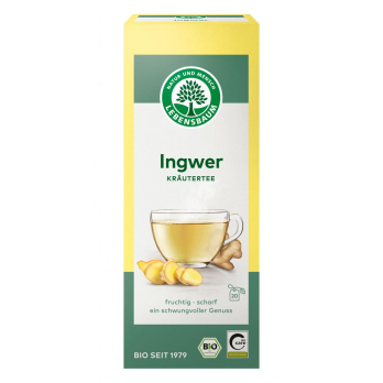 Ingwer Tee