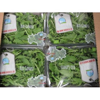 Rucola in Schale